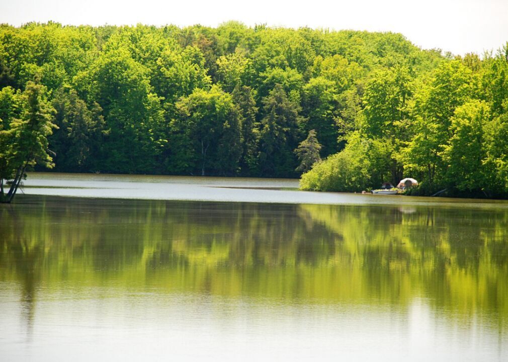 Michigan: Lake County